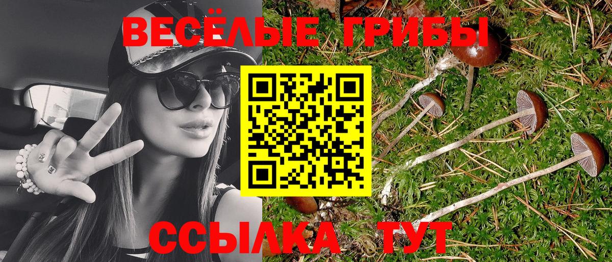 Псилоцибиновые грибы Magic Shrooms Вологда